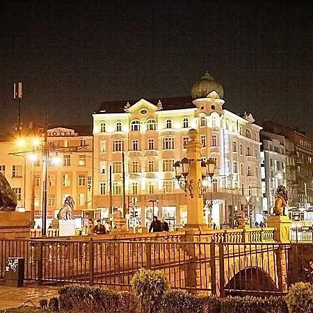 Hotel Lion