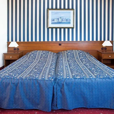 лион 3*