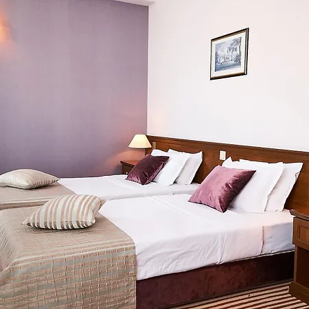 Hotel Lion