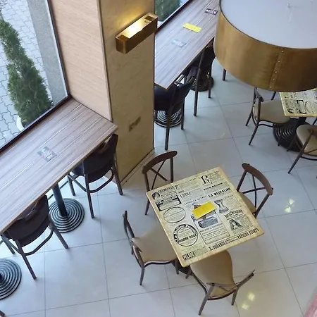 Hotel Lion